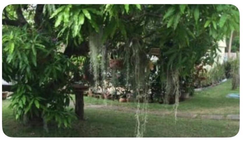 Beryls At Seawind On The Bay , Montego Bay , Jamaica Apartment Bagian luar foto